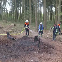 rauch_wald_02.jpg