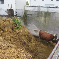 tierrettung_02.jpg