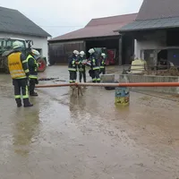 tierrettung_01.jpg