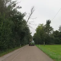 baum_01.jpg
