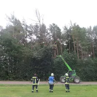 baum_03.jpg