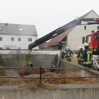 tierrettung_05.jpg