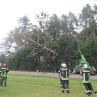 baum_04.jpg